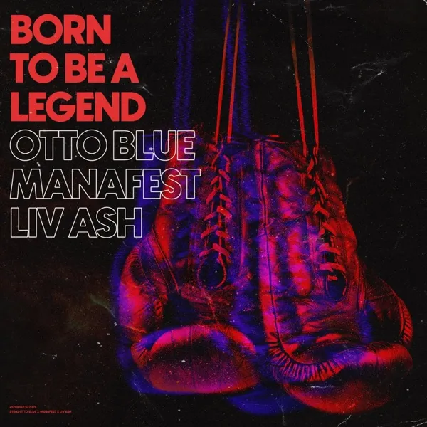 Album Art for Born To Be a Legend
