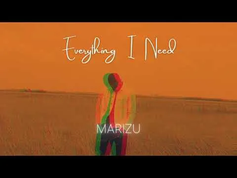 Everything I need official video thumbnail