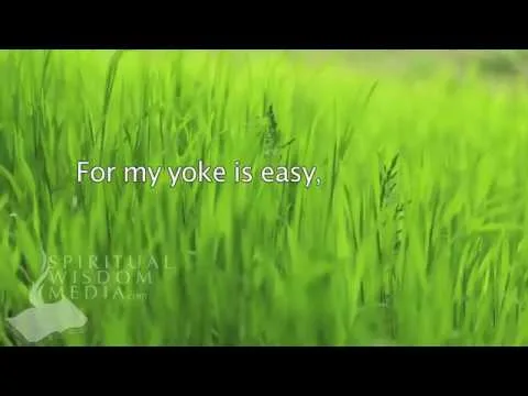 The Yoke Is Easy by Matt Redman video thumbnail