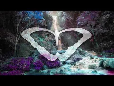 Lucid official video thumbnail