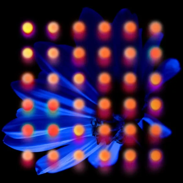 Album Art for A Feel Good Drag