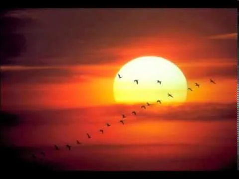 Free Again by Michael O'Brien video thumbnail