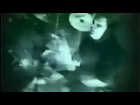 Peace In the Galaxy official video thumbnail