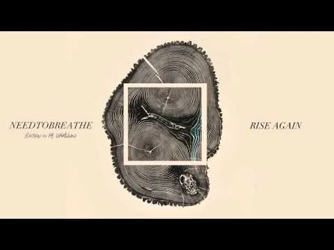 Rise Again official video thumbnail
