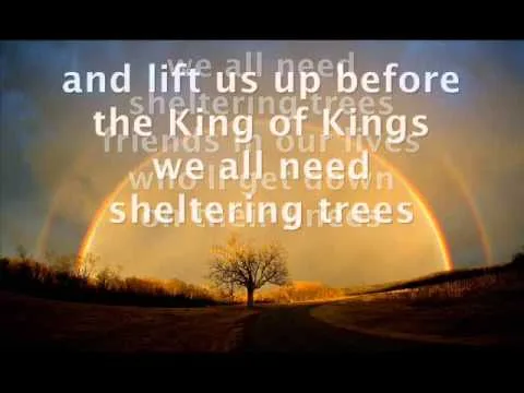 Sheltering Trees official video thumbnail