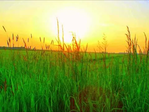 Christ the Lord official video thumbnail