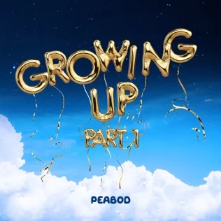 PEABOD Big Feelings