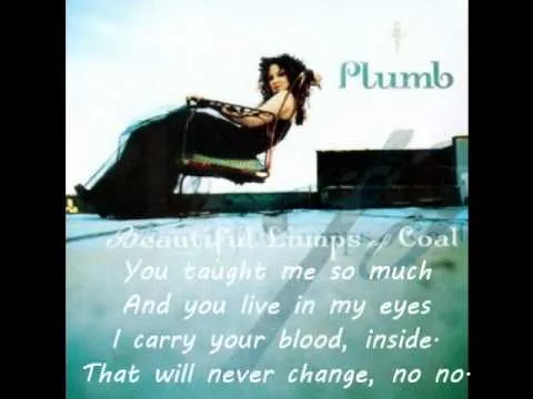Go by Plumb video thumbnail
