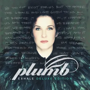 Plumb Sleep Will Be Sweet