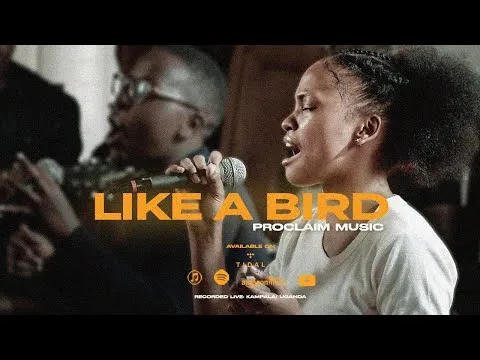 Like A Bird by Proclaim Music video thumbnail
