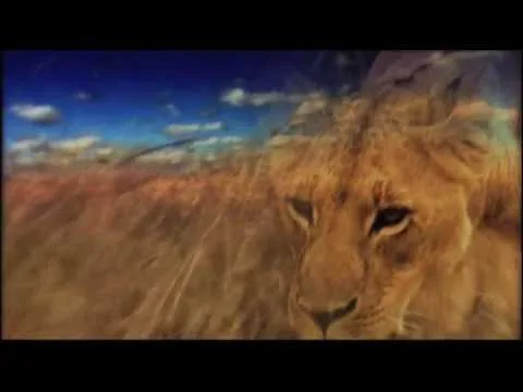Roar by Ray Boltz video thumbnail
