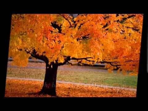 Where I Met Jesus official video thumbnail