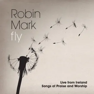 Robin Mark The Young Man
