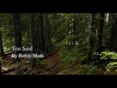 You Said by Robin Mark video thumbnail