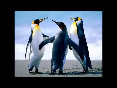 Craving by Sanctus Real video thumbnail