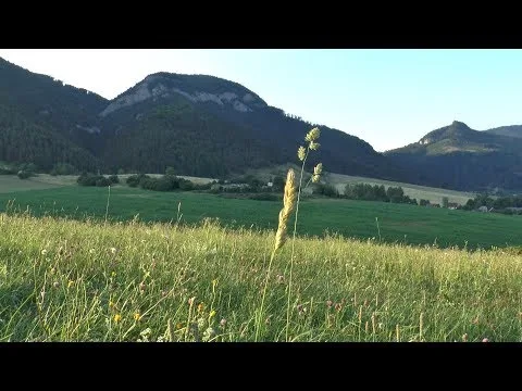 For The Beauty of The Earth by Sara Groves video thumbnail