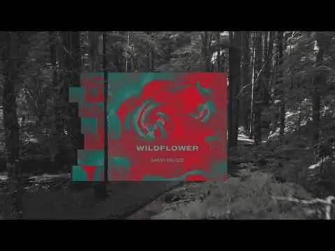 Wildflower by Sarah Kroger video thumbnail