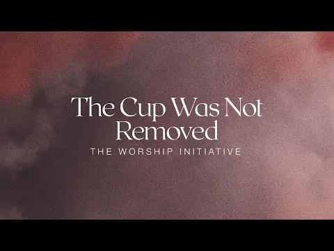 The Cup Was Not Removed official video thumbnail