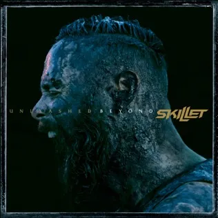 Skillet Breaking Free