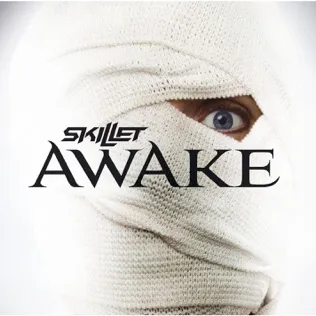 Skillet Don't Wake Me