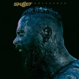 Skillet Watching For Comets