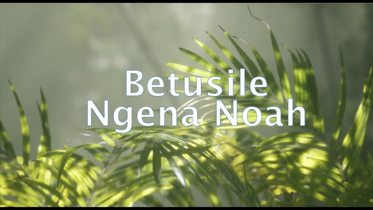 Ngena Noah Lyrics -  Betusile