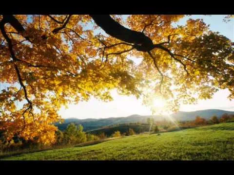 Mercies Anew official video thumbnail