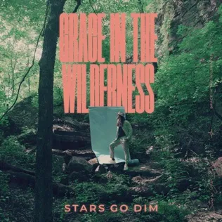 Stars Go Dim Wasted