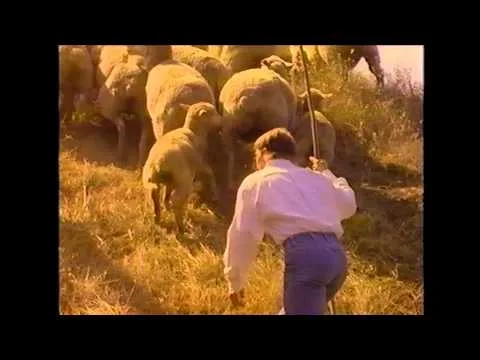 Great Is Thy Faithfulness official video thumbnail