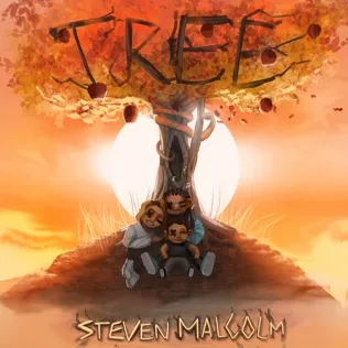 Steven Malcolm Red Light Green Light