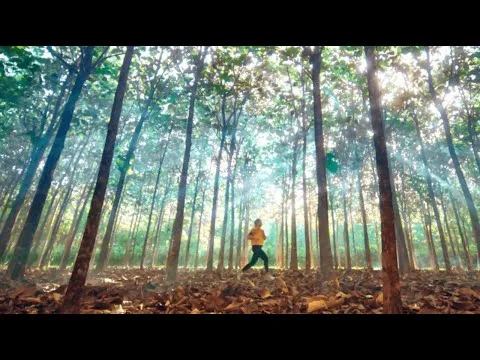 I Can Do All Things by Strive to Be video thumbnail
