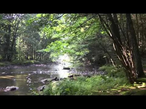 The Lord's My Shepherd (Psalm 23) by Stuart Townend video thumbnail