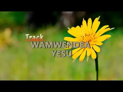 Wamwendea Yesu (Kwa Kusafiwa na Kuoshwa kwa Damu ya Kondoo) official video thumbnail