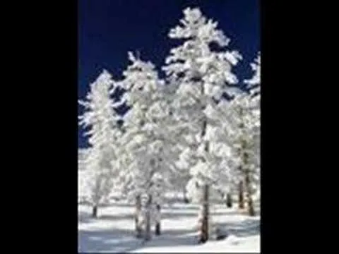 Dancing Generation by Tim Hughes video thumbnail