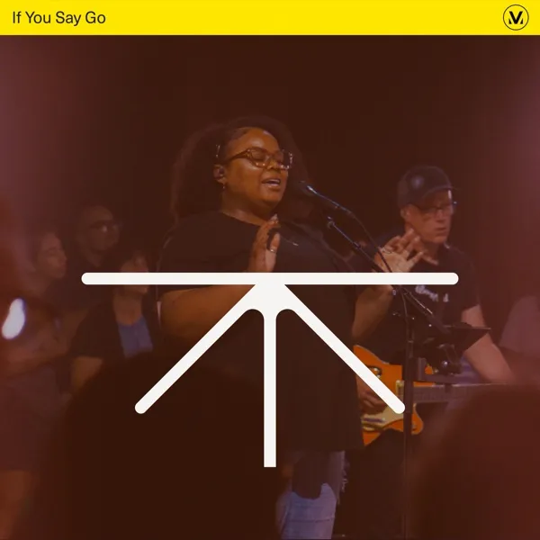 Album Art for If You Say Go (We Wait For You)