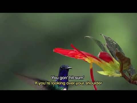 OK TO FALL official video thumbnail
