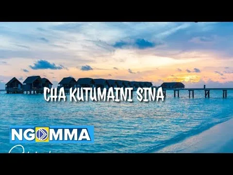 Chakutumaini Sina official video thumbnail