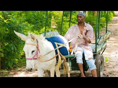 Success official video thumbnail