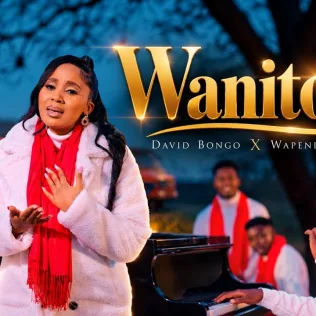 Wanitosha cover art