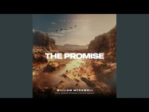 The Promise (Spontaneous Reprise) official video thumbnail